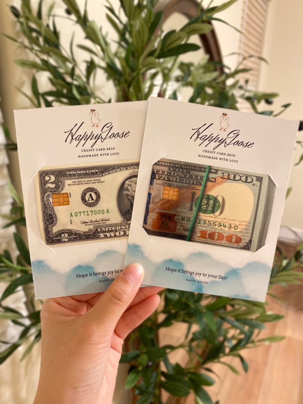 HappyGoose Credit Card Skins Bank Car Sticker with Money Print $2 and $100 bill